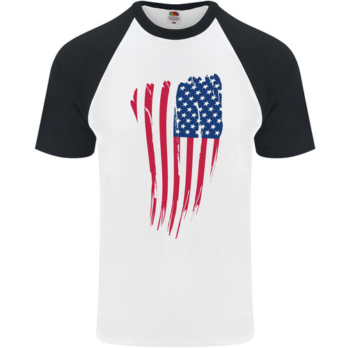 Bandiera stars stripes degli - &,