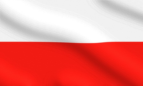 Maxifahne polen - f.i.g.,