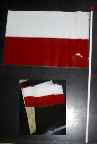 Bandiera bianco rosso - bianco/rosso, 20x30